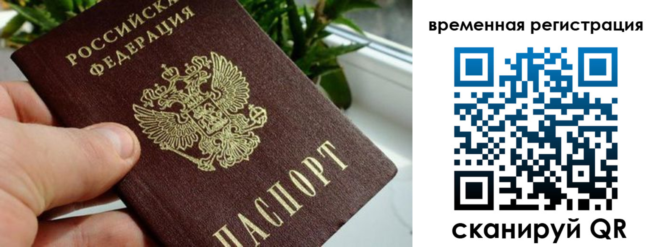 прописка поиск в Воскресенске
